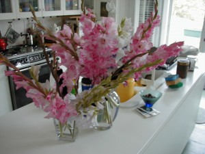 Gladiola4