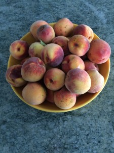IMG_0370