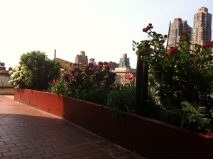 IMG_6033