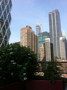 IMG_6041