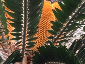 IMG_8744