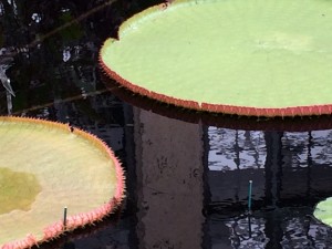 IMG_8751