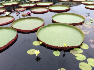 IMG_8756