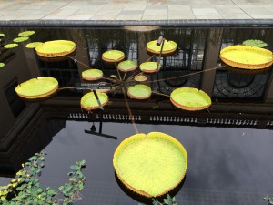 IMG_8757