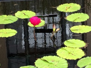 IMG_8760