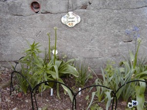garden2