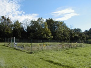 garden2000-1