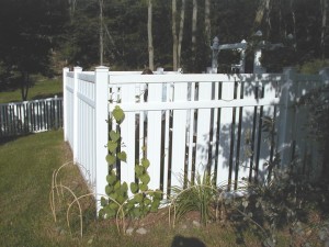 garden2000-6