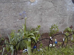 garden3
